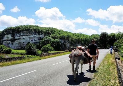 Au pas de l'ane. Location d'anes