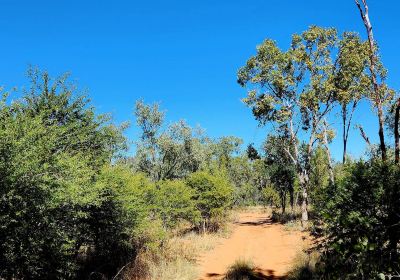 Barcaldine Botanical Walk