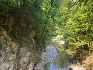 Rappenlochschlucht