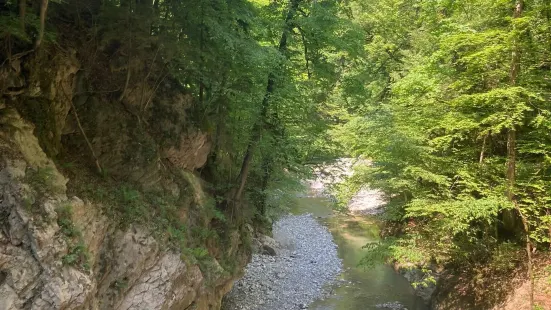 Rappenlochschlucht