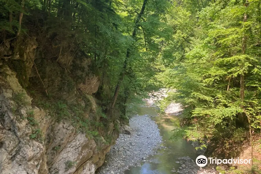 Rappenlochschlucht