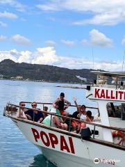 Popai Daily Cruises