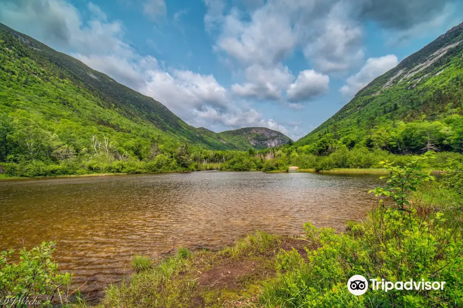 Crawford Notch State Park