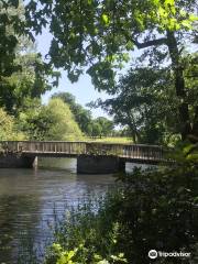 Tarn Bird Sanctuary