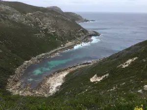 Sharp Point Lookout