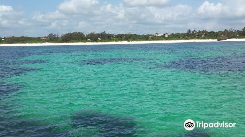 Watamu Marine National Park & Reserve