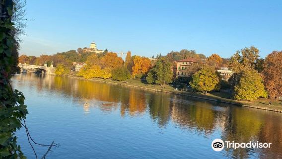 one-day tour of Turin Royal Palace + Valentino Castle + Superga Cathedral + Italian National Automobile Museum + Palazzo Carignano + Palazzo Madama