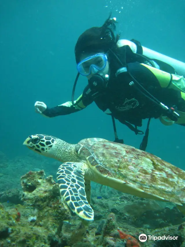 Paddle Boarding in Phi Phi Islands