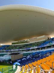 Sheikh Zayed Cricket Stadium