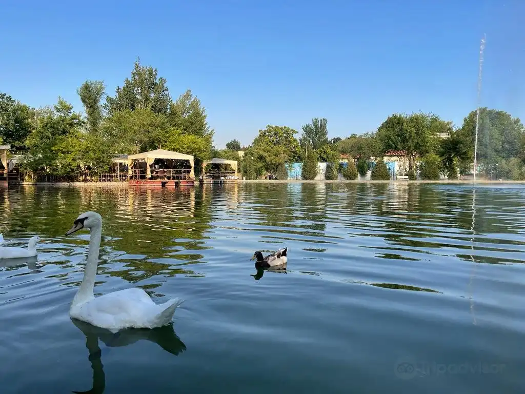 Hotels near Central Park Tashkent