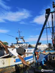 Porto di Trani