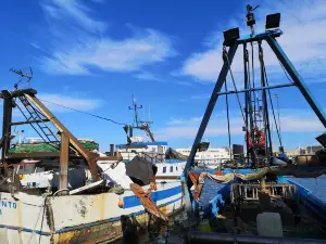 Porto di Trani