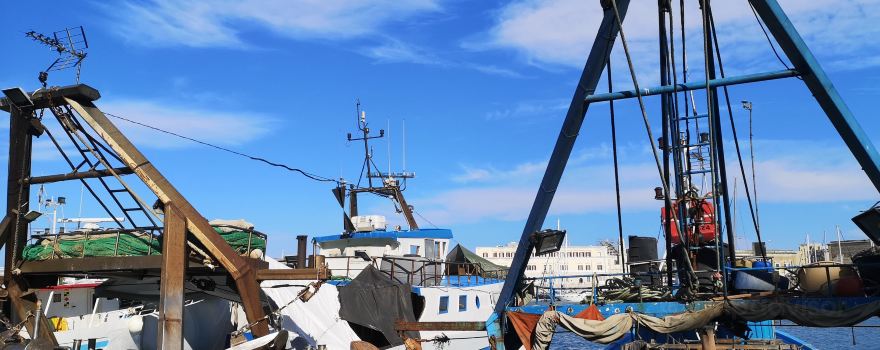 Porto di Trani