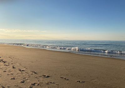 Race Point Beach