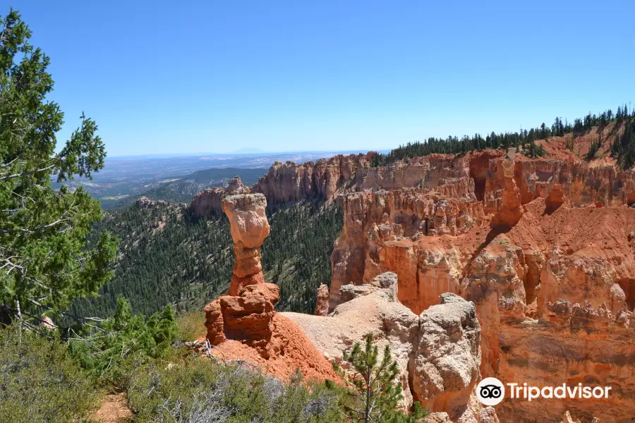 Agua Canyon