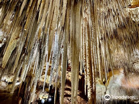 Tantanoola Caves Conservation Park