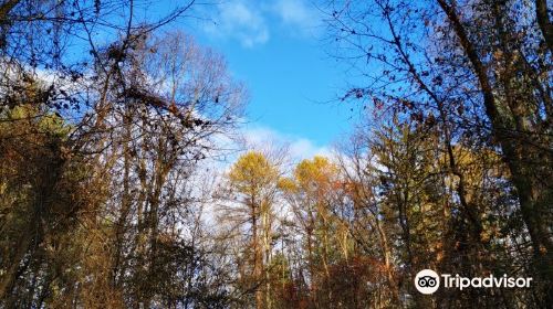 Carl G. Fenner Nature Center