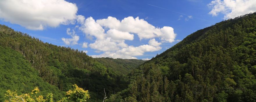 Parque Natural Fragas do Eume
