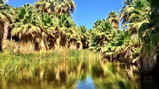 Coachella Valley Preserve