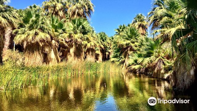 Coachella Valley Preserve