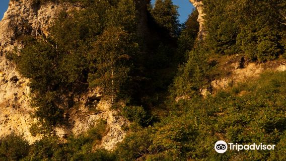 Mackinac Island State Park