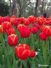 Parque Botánico Araluen