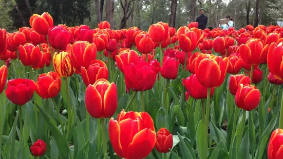 Araluen Botanic Park