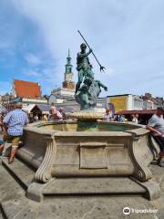 Neptune Fountain