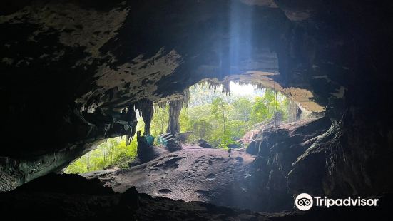 Niah Caves