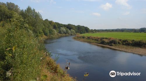 The River Ribble