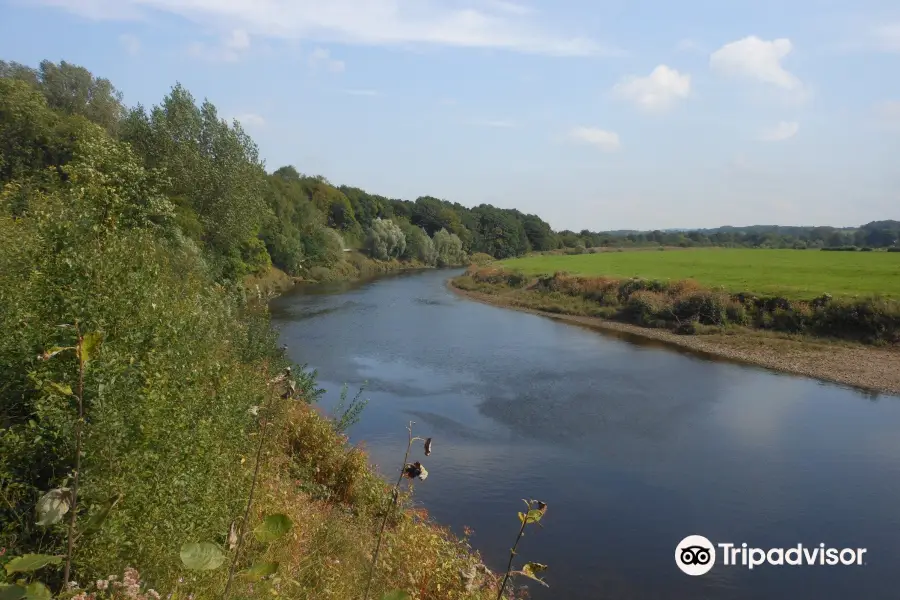 The River Ribble