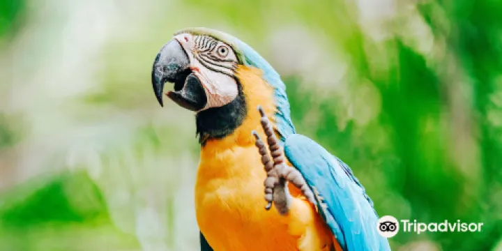 羅克漢普頓動物園