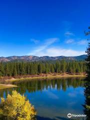 Scenic Pend Oreille River Train