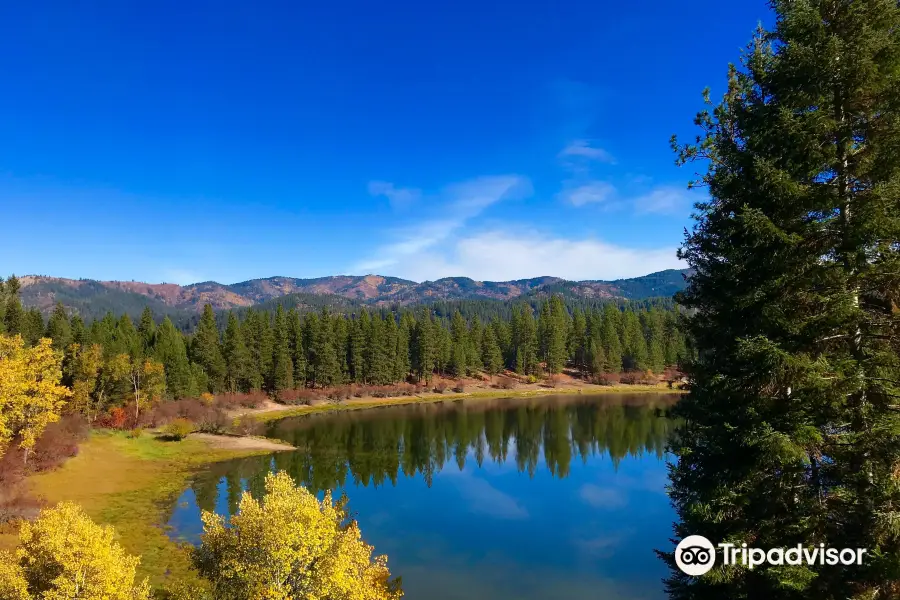 Scenic Pend Oreille River Train