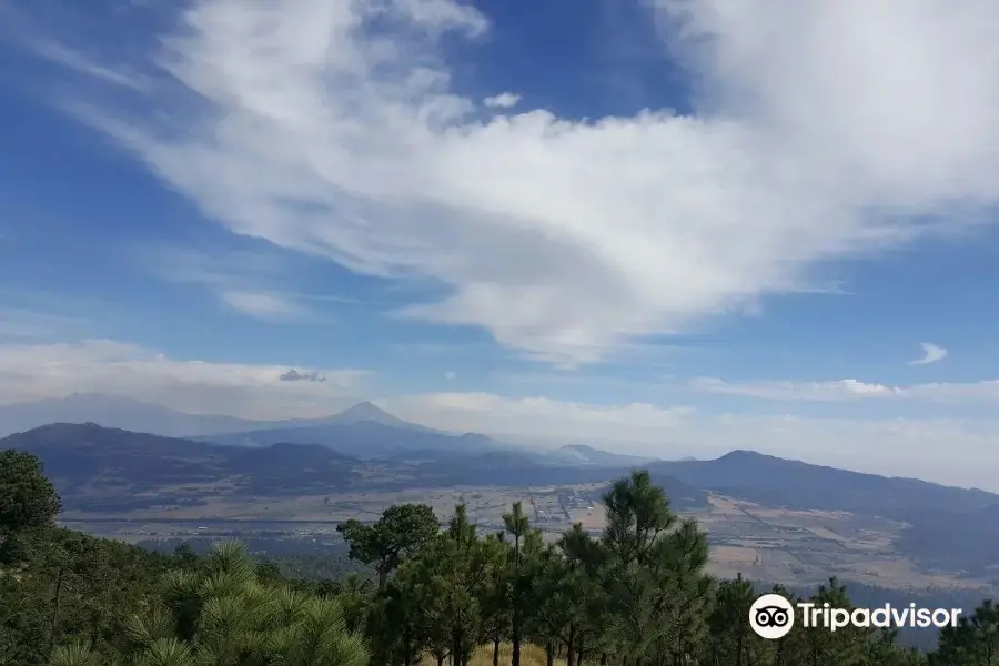 Cumbres Del Ajusco National Park