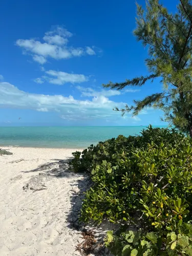 Long Bay Hills