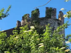 Torre De Sarria
