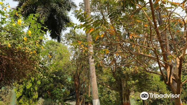 Horniman Circle Garden