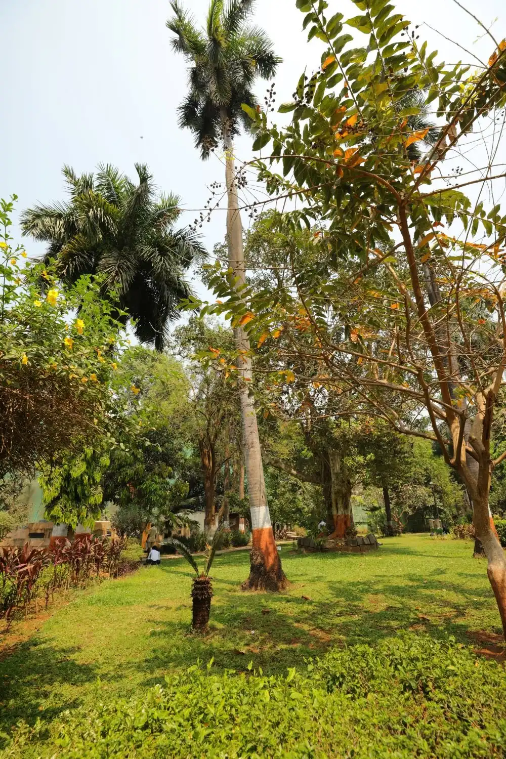 호니먼 서클 가든 주변 호텔