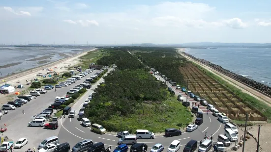 南房総国定千葉県立富津公園