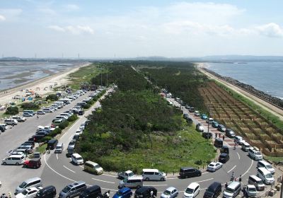 南房総国定千葉県立富津公園