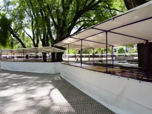 Plaza Pueyrredón