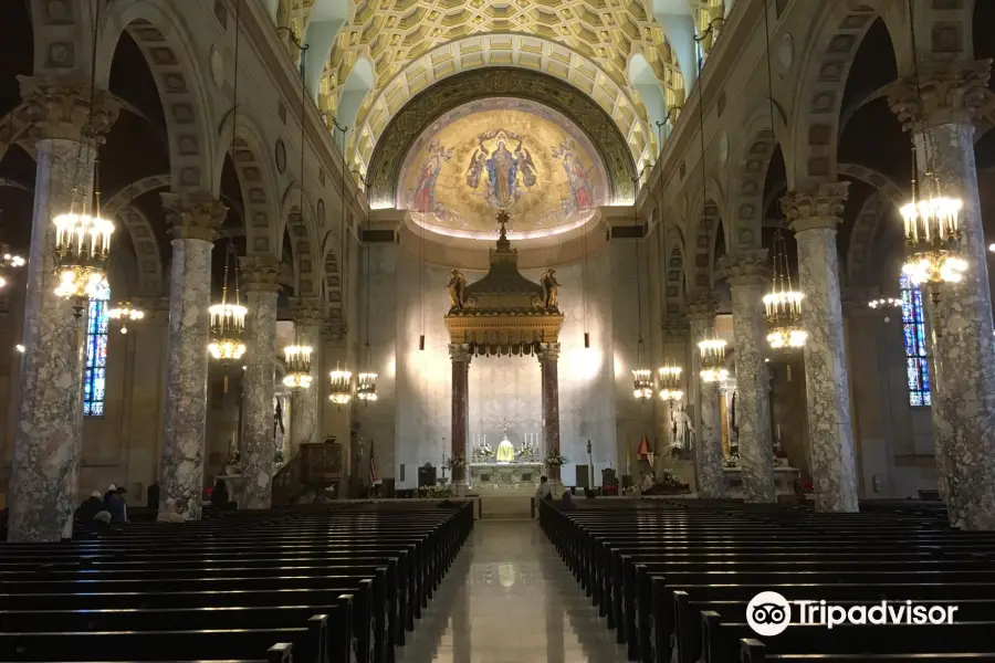 Basilica of the Immaculate Conception