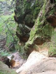 Witch Gorge/Wawoz Czarownic