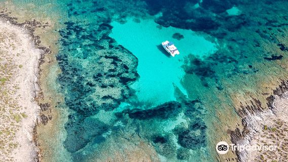 Futurismo - Escursioni Asinara