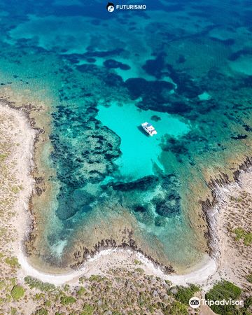 Futurismo - Escursioni Asinara