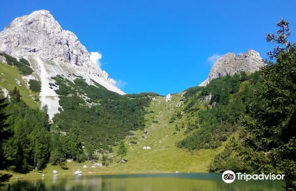 福爾尼阿沃爾特里