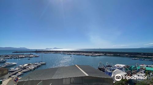 Porto di Torre del Greco