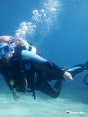 Shark Fin Scuba Diving Center