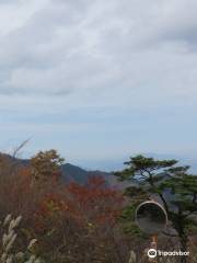 Nihonsugi Observation Deck